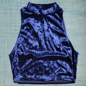 Velvet Crop Top